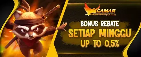 Cashback Mingguan VIP 0.5% promotion image